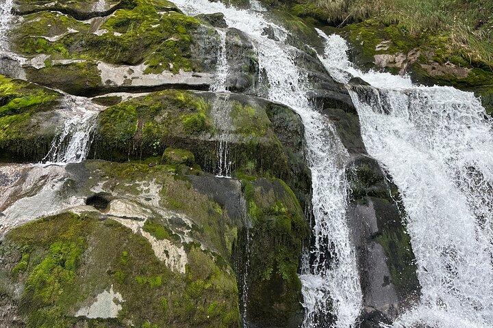 Excursão Iseltwald Giessbach Falls e Brienz