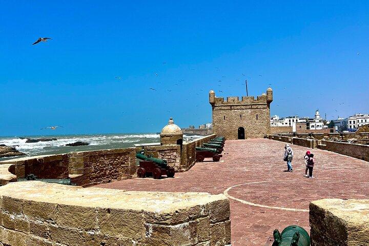 Excursão privada de Marrakech a Essaouira