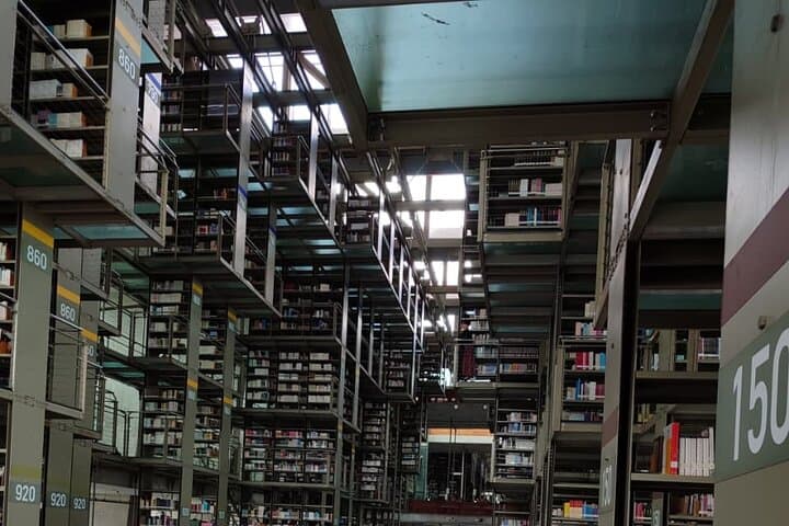 Vasconcelos Library and Santa Maria la Ribera