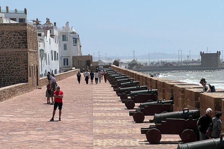 Excursão privada de Marrakech a Essaouira