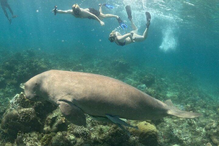Coron Group Dugong and Turtle Watching with Lunch