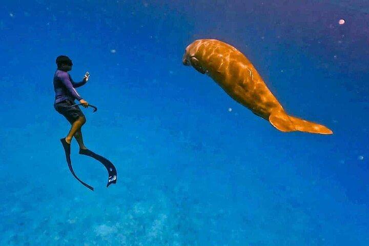 Coron Group Dugong och Sköldpaddsskådning med Lunch