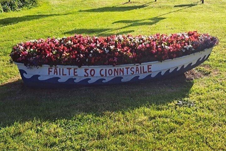 Excursion d'une journée au château de Blarney et à Kinsale