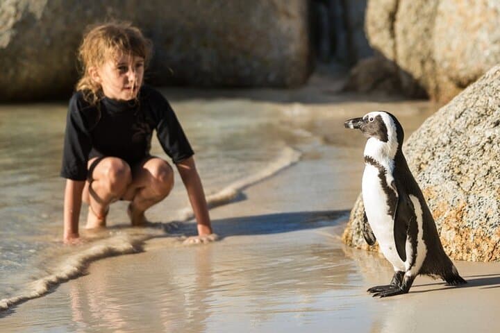 All-Inclusive Private Tour: Table Mountain, Cape Point & Penguins