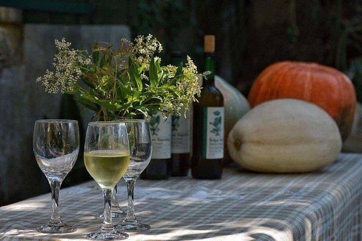 Private Kefalonia Wine Experience: Fine Wines & Tradition