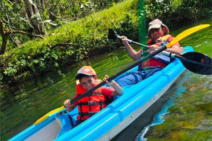 Extreme Adventures: Kayak og canopy i Colon Private tur