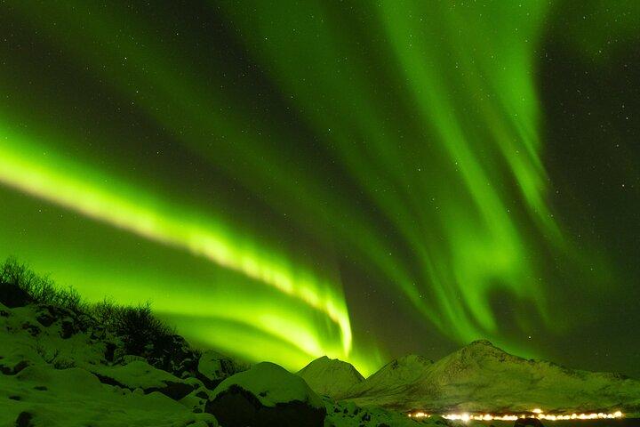 Tromsø : Nordlichter-Kleinbustour mit Experten