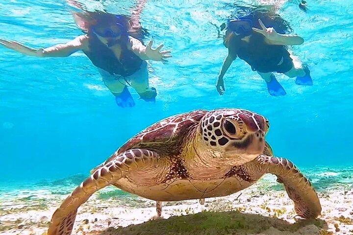 Plongée en apnée et aventure en catamaran à Key West