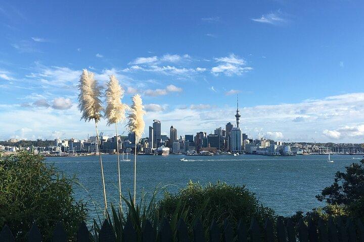 Volcans, côtes et endroits secrets Excursion de l'après-midi à Auckland