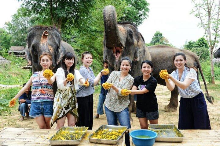 River Kwai & Death Railway Tour met olifantenervaring