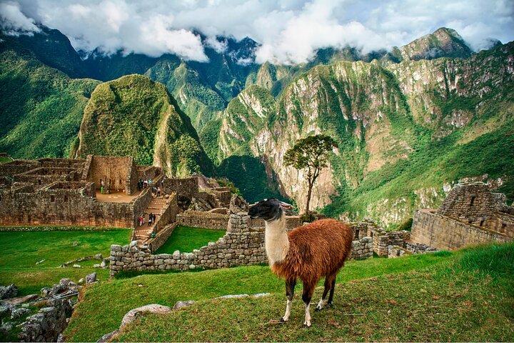 Privétour met gids in Machu Picchu