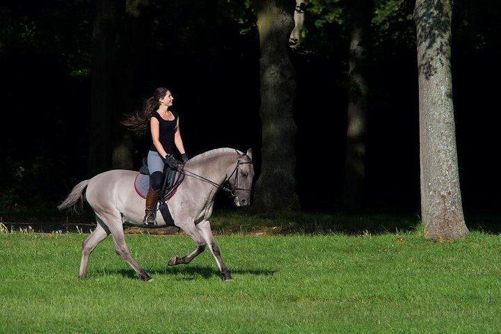 Paseo privado a caballo en el Palacio de Versalles