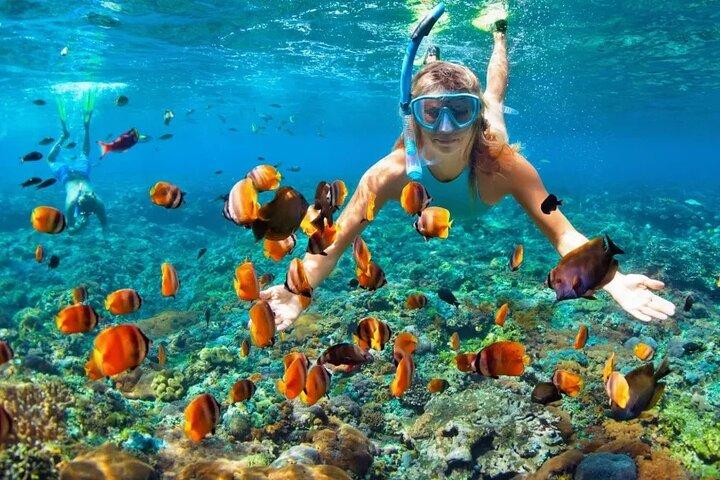 Cancún Lancha rápida y aventura de snorkel con recogida en el hotel