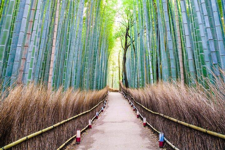 Kyoto: Excursão privada com Guia Inglês e Pickup do Hotel