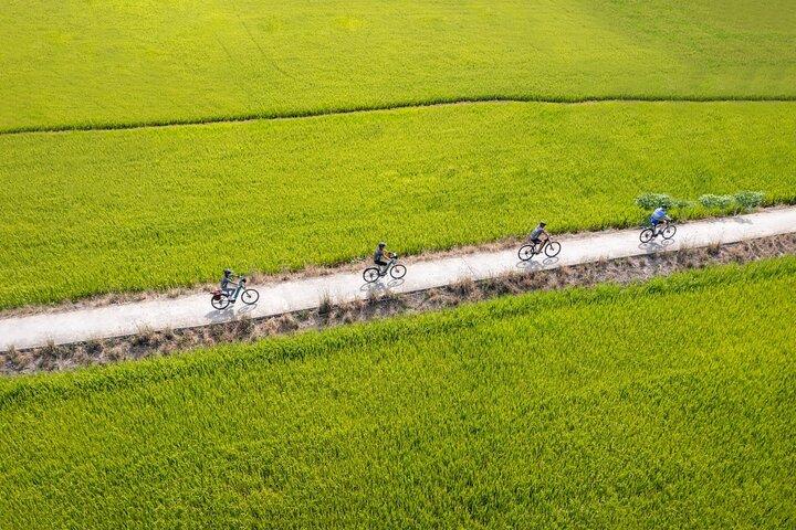 Hoi An Morning Countryside Tour by Bike