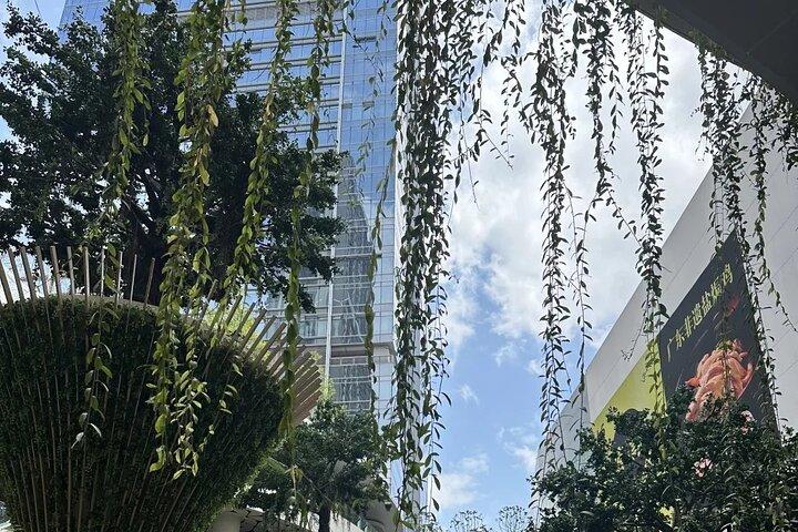 Experience Shenzhen in a Cultural Tour Beyond Tech