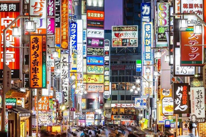 東京発：日光市内終日プライベートツアー