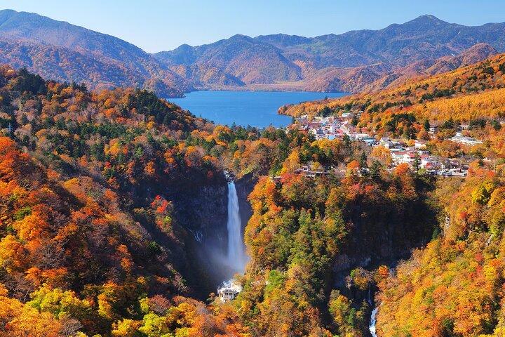 東京発：日光市内終日プライベートツアー