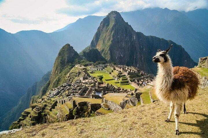 Privat Machu Picchu heldagstur från Cusco