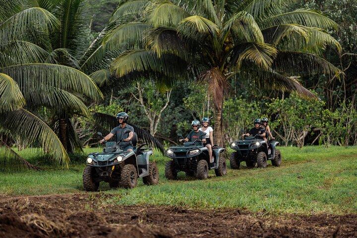 Hoteller i nærheden af Moorea ATV Raid Adventure Tour