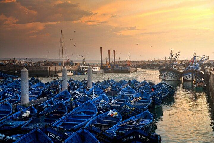 From Marrakesh : To Essaouira Full-Day Trip _ small-group