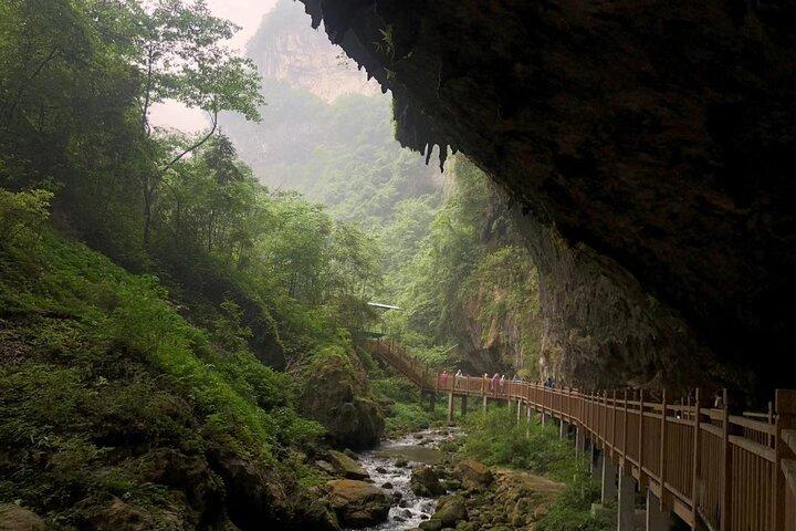 Ticket to Glass Bridge Experience in Zhangjiajie China