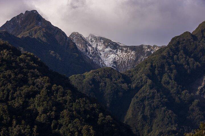Tour di 1 solo andata per piccoli gruppi da Christchurch a Franz Josef via Hokitika