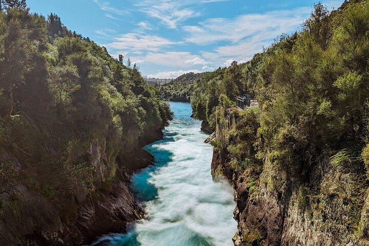 Rotorua til Auckland via Taupo og Hamilton Gardens Tour (én vej)