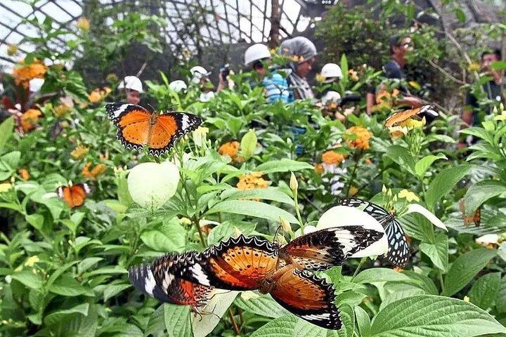 Entrée au KL Butterfly Park avec les monuments célèbres de Kuala Lumpur