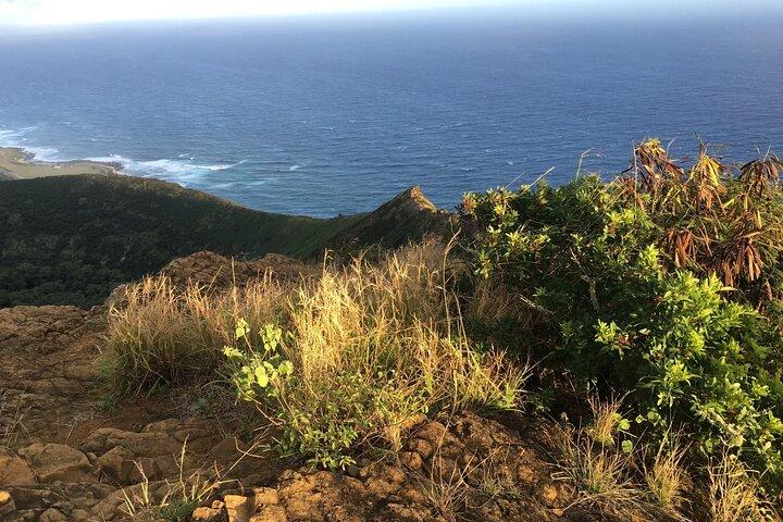 Koko Head Wandeling met Pickup en Drop-off