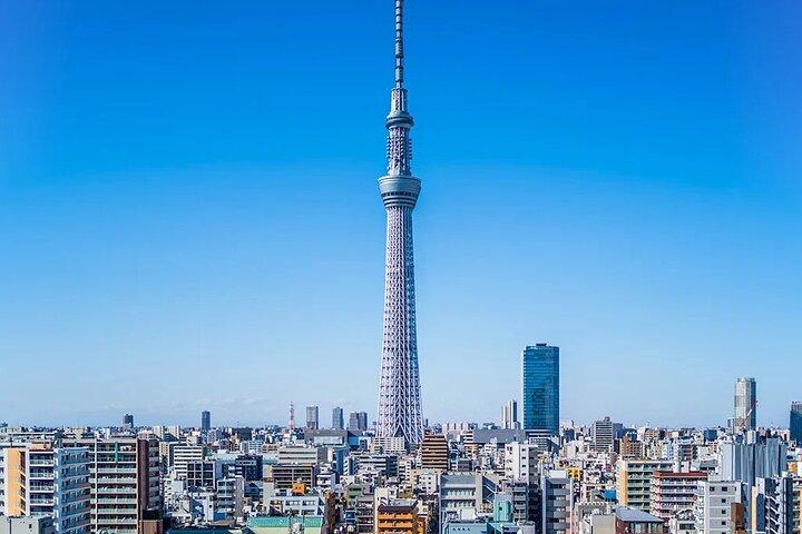 東京の主な見どころプライベートツアー