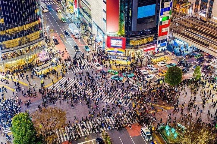 東京インスタハイライトプライベートツアー