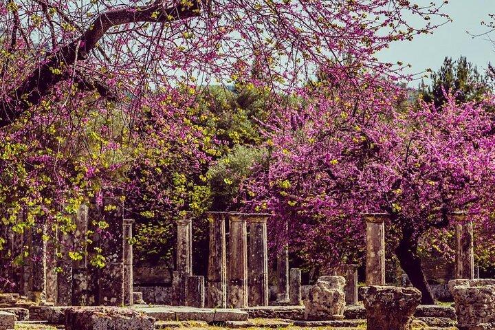 Ancient Olympia Roundtrip Transfer do Porto de Katakolo