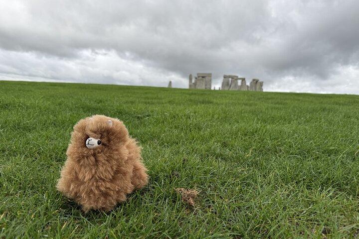 Visite privée Stonehenge Windsor Castle Bath