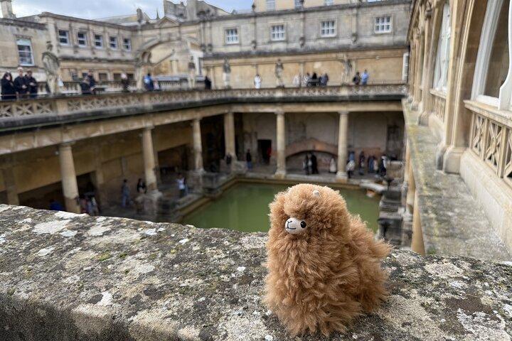 Visite privée Stonehenge Windsor Castle Bath
