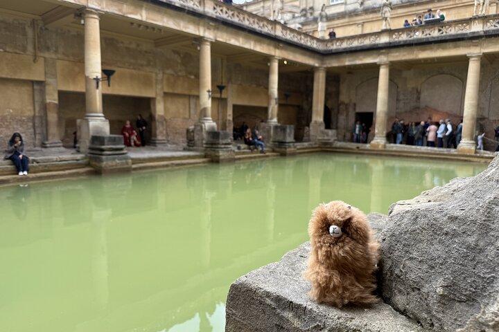 Visite privée Stonehenge Windsor Castle Bath