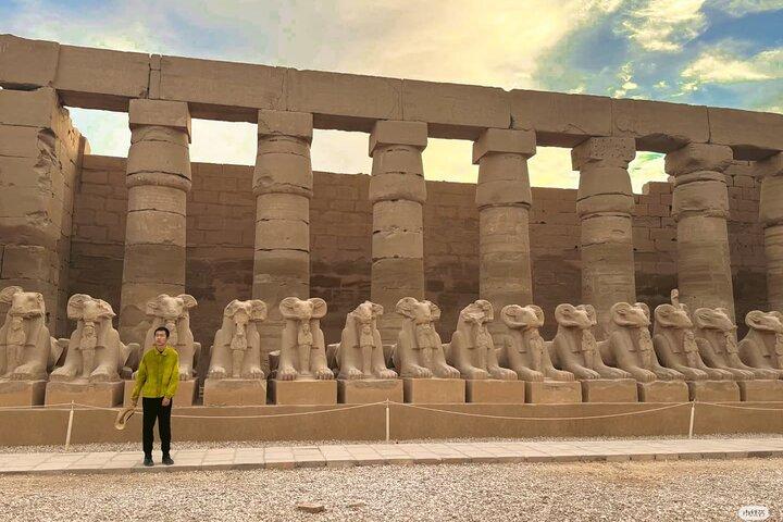 Private Half-Day Tour of Karnak and Luxor Temple with Pickup