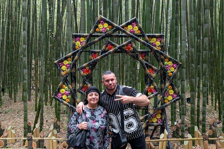 Kyoto Arashiyama Bambus, Tempel, Affe oder lokale Bergbrauerei