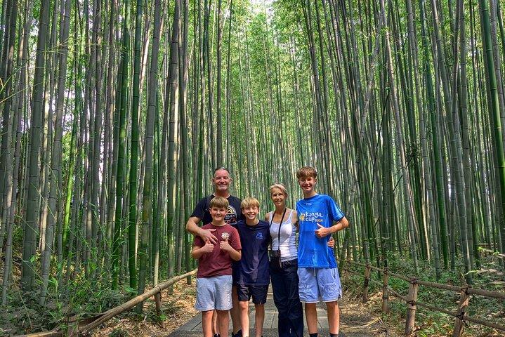 Kyoto Arashiyama Bambus, Tempel, Affe oder lokale Bergbrauerei