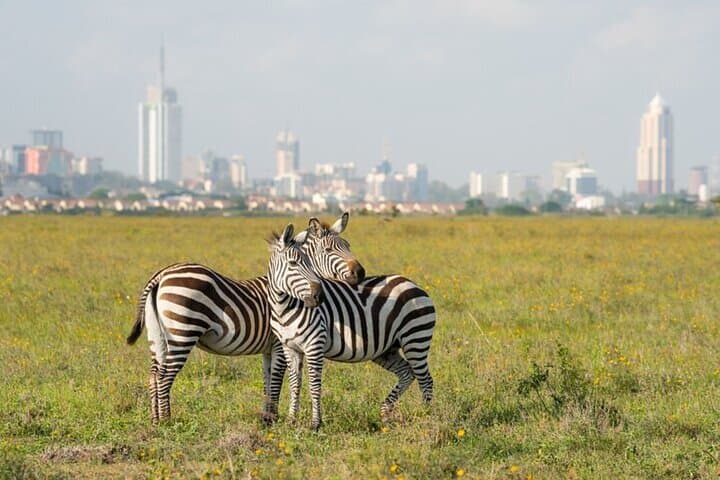 Nairobi National Park Half-Day Morning Game Drive