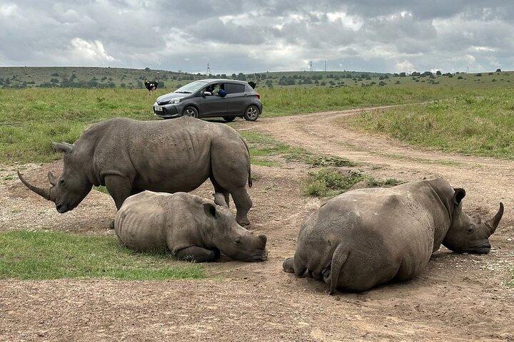 Safari en el Parque Nacional de Nairobi - Morning Game Drive