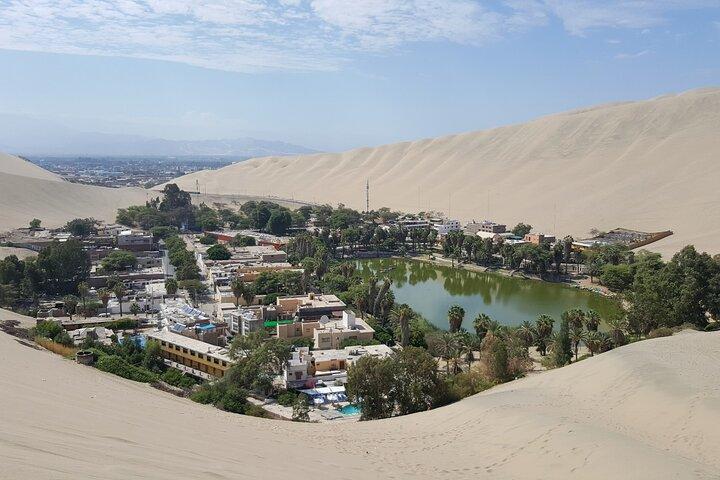Ballestasöarna och Huacachina Oasis Heldagstur från Lima
