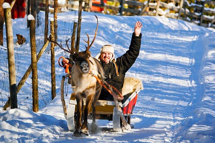 Rovaniemi : Giro in Husky & Renna con Transfer