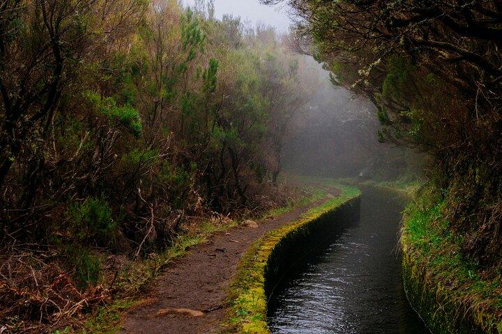 Levada do Rei PR18 caminata panorámica en Madeira - Servicio de traslado