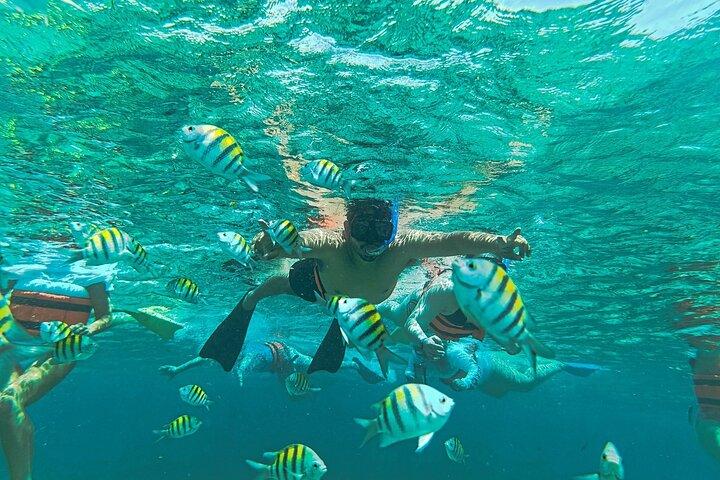 Deluxe Catamaran Tour to Isla Mujeres, from Playa del Carmen