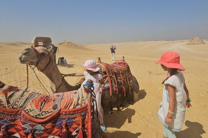 Privat guidad dagstur: Giza Pyramider, Egyptisk Museum och Nile Dinner Cruise