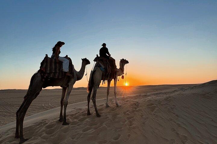Siwa Oasis Kameelrit en sandboarden Zonsondergang of zonsopgang