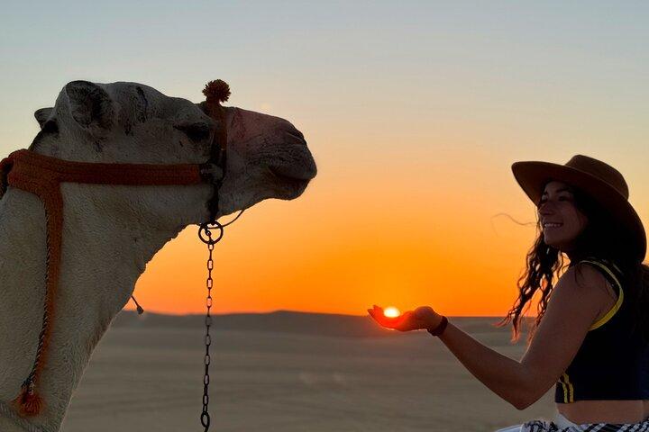 Siwa Oasis Kameelrit en sandboarden Zonsondergang of zonsopgang
