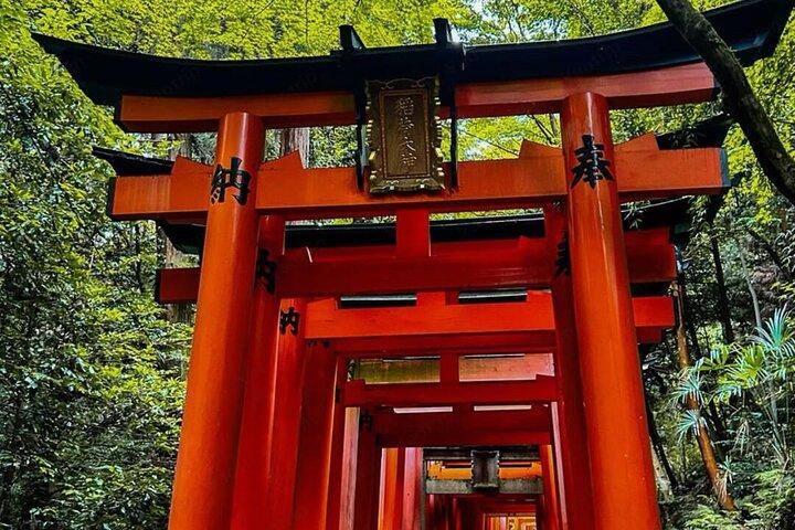 Visite privée de Kyoto Nara au départ d'Osaka