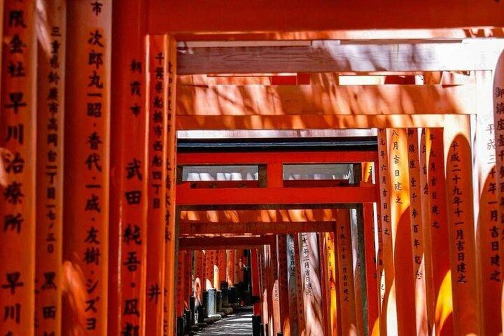 Visite privée de Kyoto Nara au départ d'Osaka